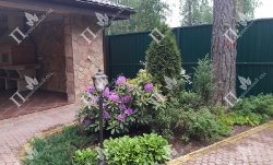 Цвелодубово_1