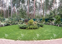 Цвелодубово_2