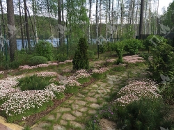 Цвелодубово_4