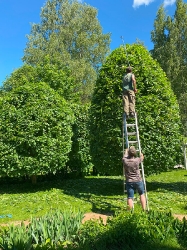 Стрижка и обрезка_3